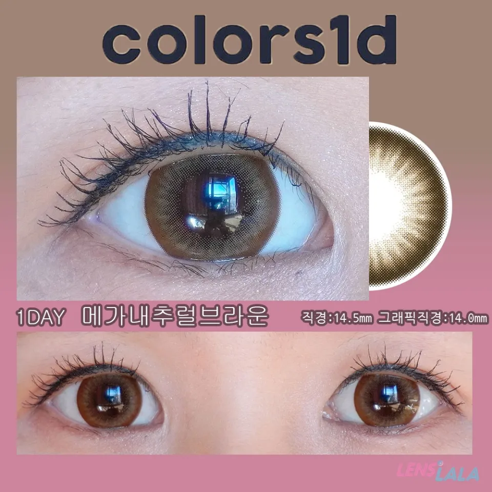  COLORS 컬러즈 원데이 1DAY 메가내추럴브라운 렌즈