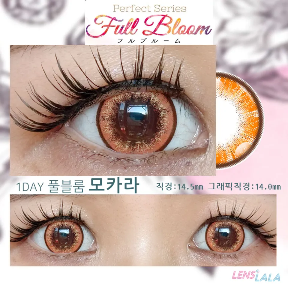 퍼펙트시리즈 풀블룸 모카라 컬러 렌즈