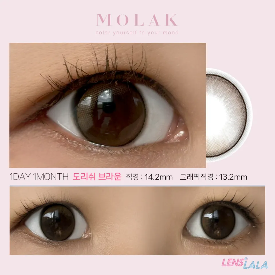 MOLAK 모라쿠 Dollish brown 도리쉬 브라운 컬러 렌즈