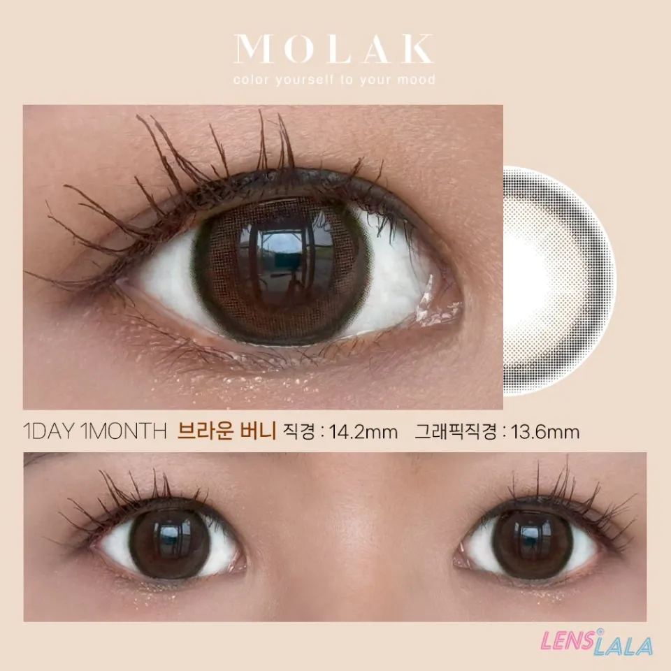 MOLAK 모라쿠 Brown Bunny 브라운버니 컬러 렌즈