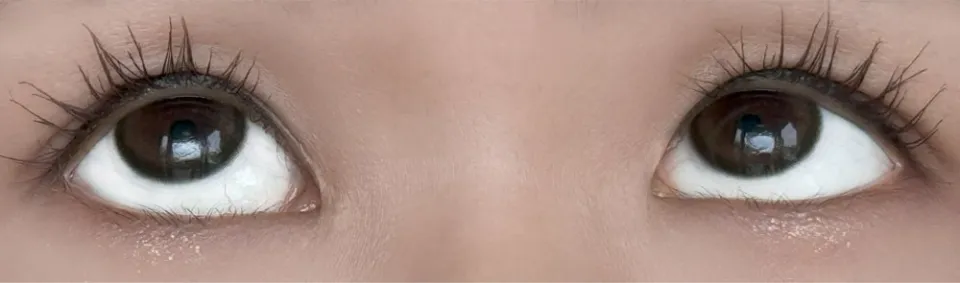 MOLAK 모라쿠 Brown Bunny 브라운버니 착용 이미지