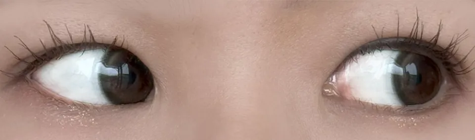 MOLAK 모라쿠 Brown Bunny 브라운버니 착용 이미지