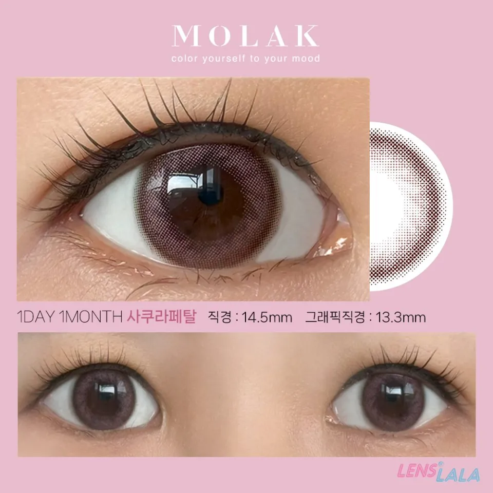 MOLAK 모라쿠 원데이 사쿠라페탈 컬러 렌즈