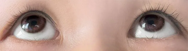 MOLAK 모라쿠 원데이 사쿠라페탈 착용 이미지 