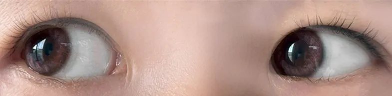 MOLAK 모라쿠 원데이 사쿠라페탈 착용 이미지 