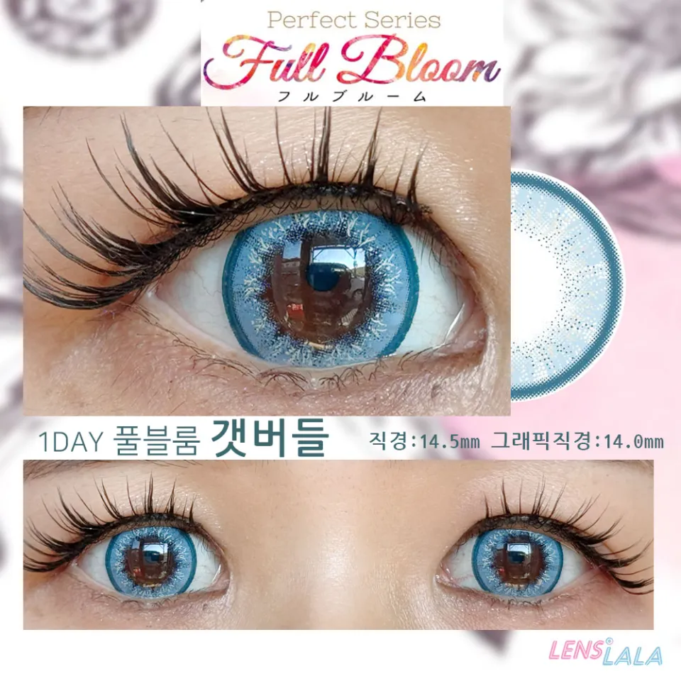 퍼펙트시리즈 풀블룸 갯버들 컬러 렌즈