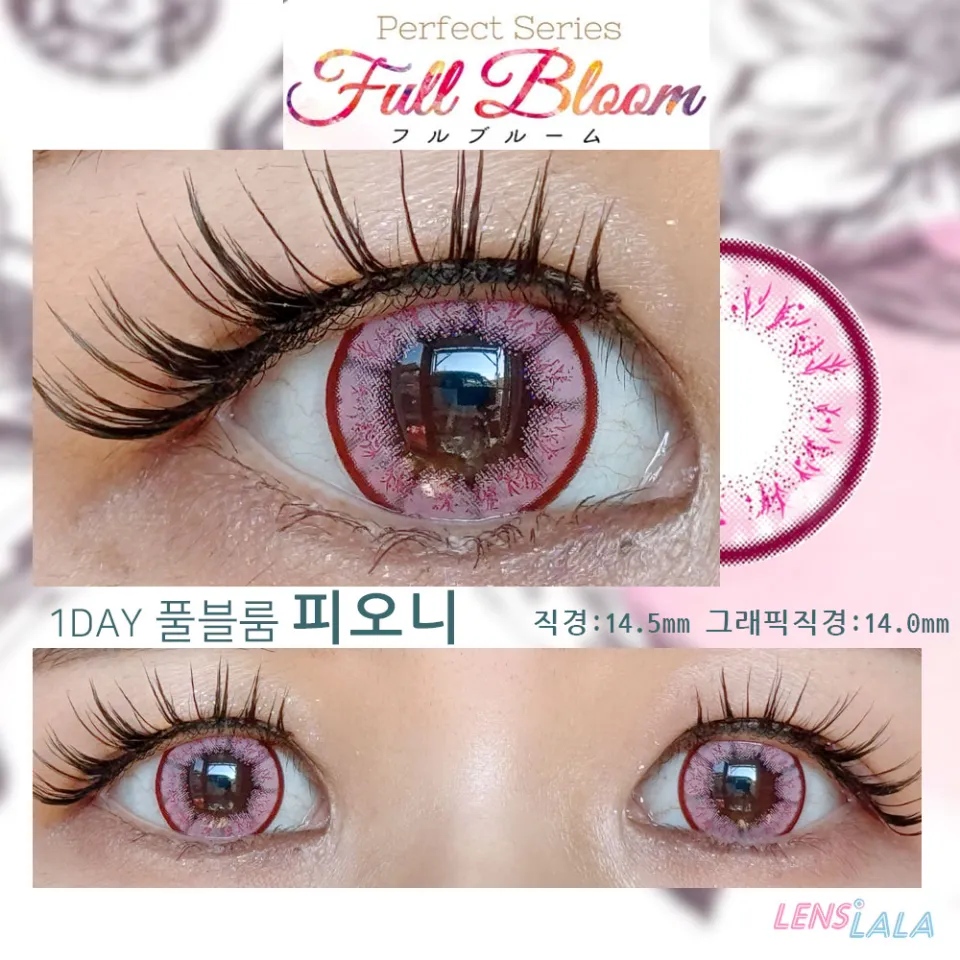 퍼펙트시리즈 풀블룸 피오니 컬러 렌즈