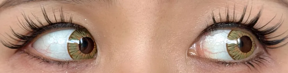 Etia Reflet 에티아 리프렛원데이 1DAY 폴라리스 착용 이미지