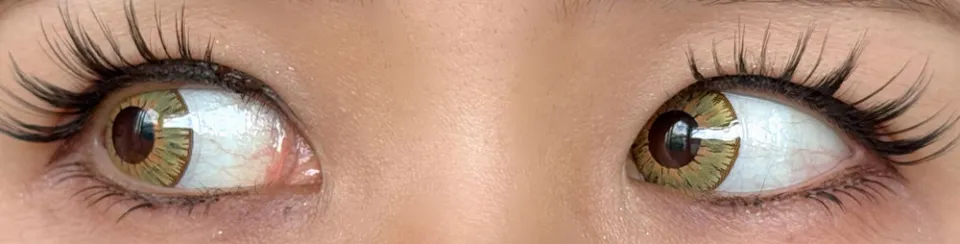 Etia Reflet 에티아 리프렛원데이 1DAY 폴라리스 착용 이미지