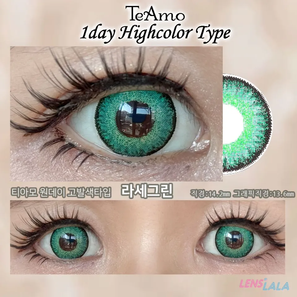 Teamo 티아모 원데이 고발색타입 14.2mm 라세그린 컬러 렌즈