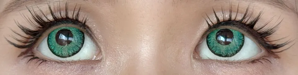 Teamo 티아모 원데이 고발색타입 14.2mm 라세그린 렌즈착용 이미지