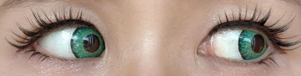 Teamo 티아모 원데이 고발색타입 14.2mm 라세그린 렌즈착용 이미지