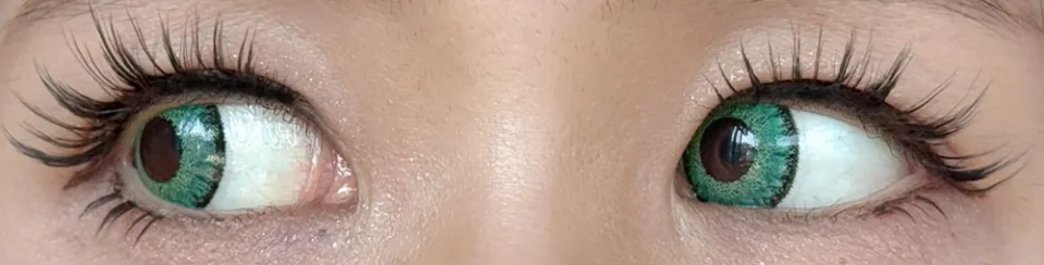 Teamo 티아모 원데이 고발색타입 14.2mm 라세그린 렌즈착용 이미지