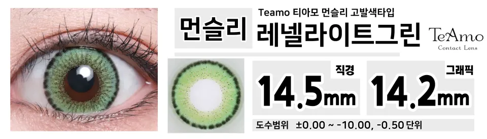teamo 티아모 먼슬리 고발색타입 레넬라이트그린