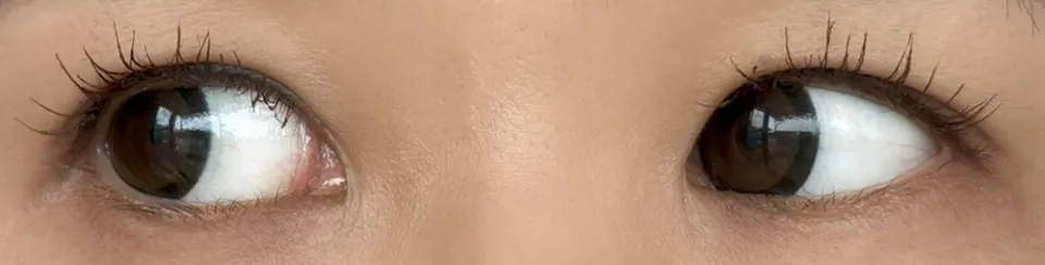 플러리원데이 링다크브라운 착용 이미지