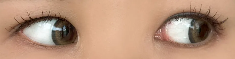 플러리원데이 링오렌지브라운 착용 이미지