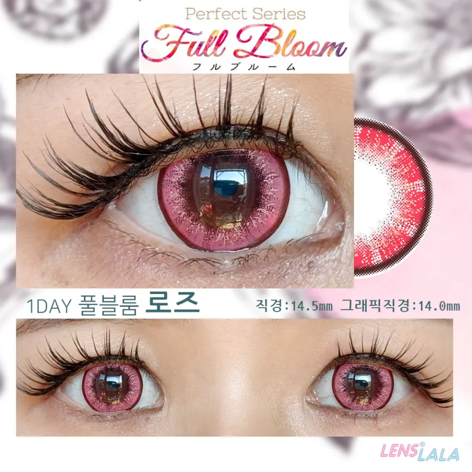 퍼펙트시리즈 풀블룸 로즈 컬러 렌즈