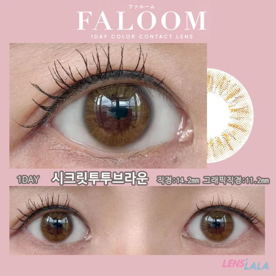 FALOOM 파룸 1DAY 시크릿투투브라운 컬러 렌즈