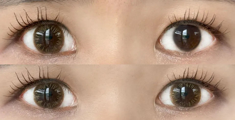 FAIRY NEUTRAL 샤이니브라운 착용 이미지