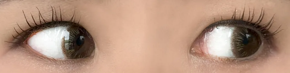 FAIRY NEUTRAL 샤이니브라운 착용 이미지