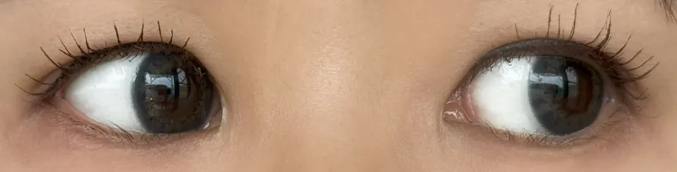 플러리원데이 라이트카키브라운 착용 이미지
