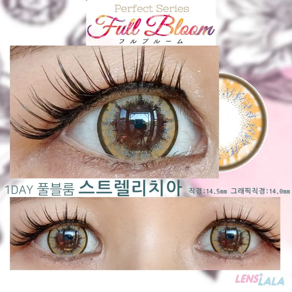퍼펙트시리즈 풀블룸 스트렐리치아 컬러 렌즈