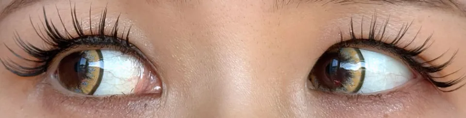 퍼펙트시리즈 풀블룸 스트렐리치아 착용 이미지