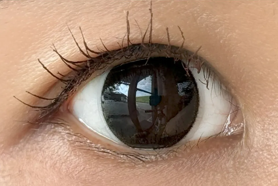 플러리원데이 튈블랙 착용 이미지