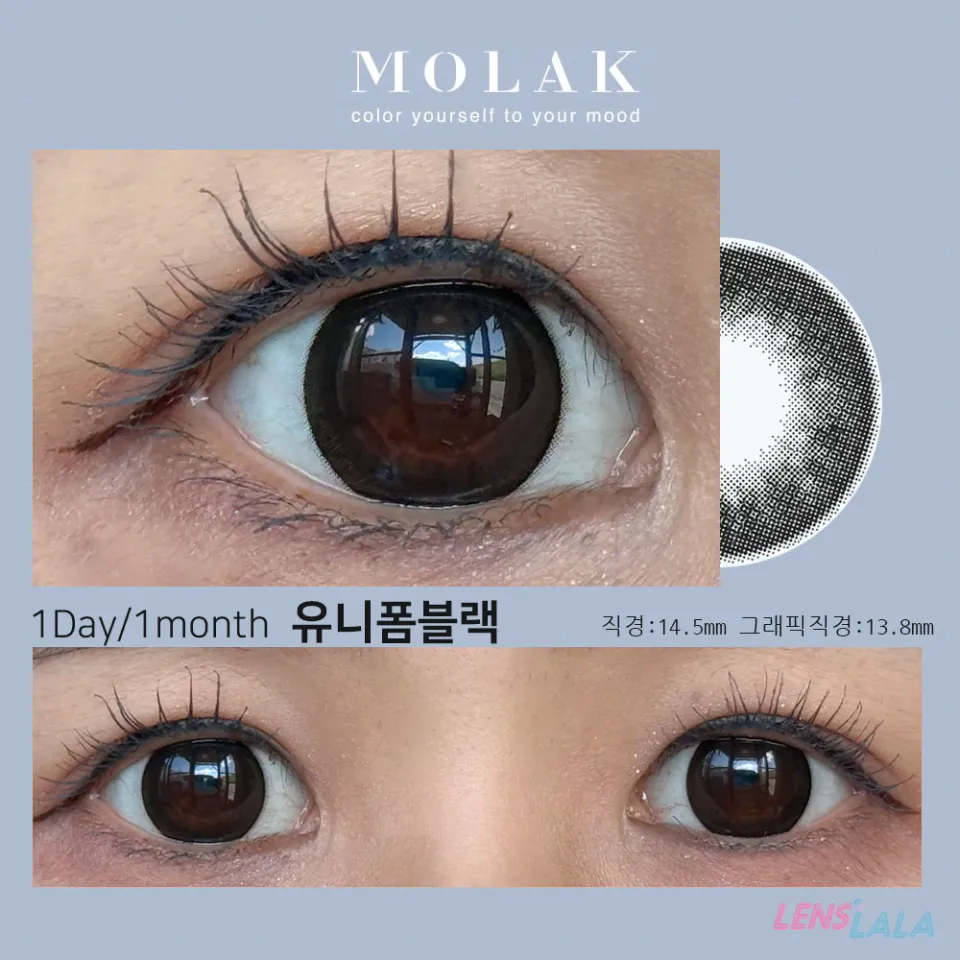MOLAK 모라쿠 Uniform Black 유니폼블랙 컬러 렌즈