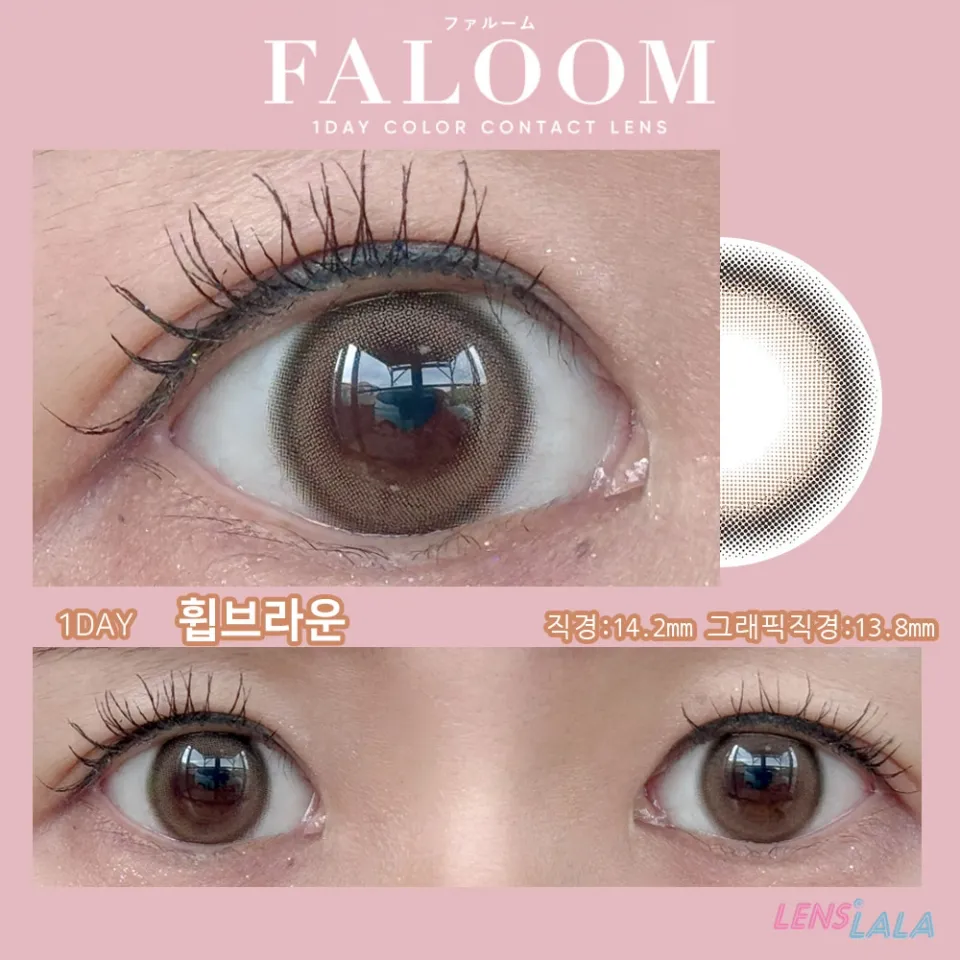 FALOOM 파룸 1DAY 휩브라운 컬러 렌즈